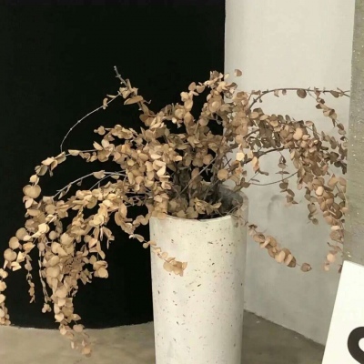 兽设校园场景创作福瑞交流群